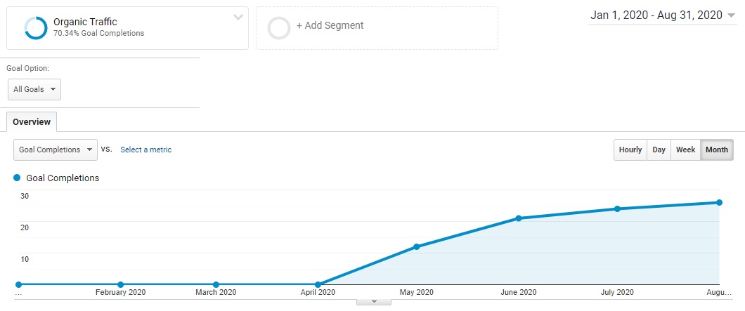 B2C SEO Case Study Leads